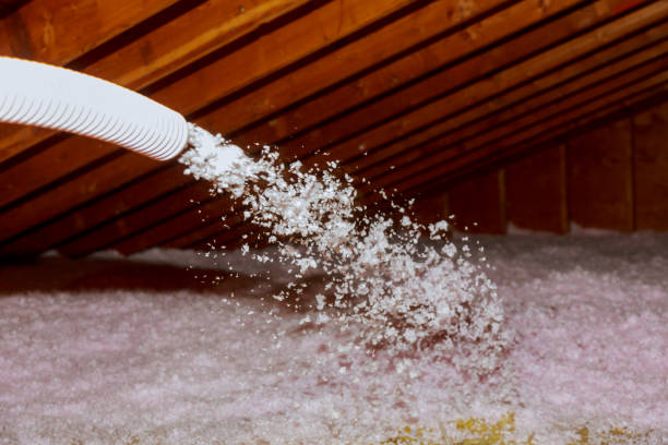 Best Specialty Insulation in Bronte, TX