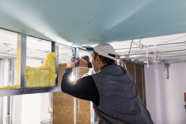 Best Insulation for Specific Applications in Bronte, TX