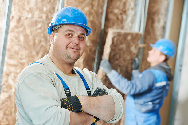 Best Insulation Maintenance and Repair in Bronte, TX