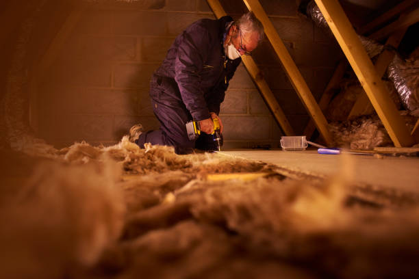 Best Insulation Installation Services in Bronte, TX